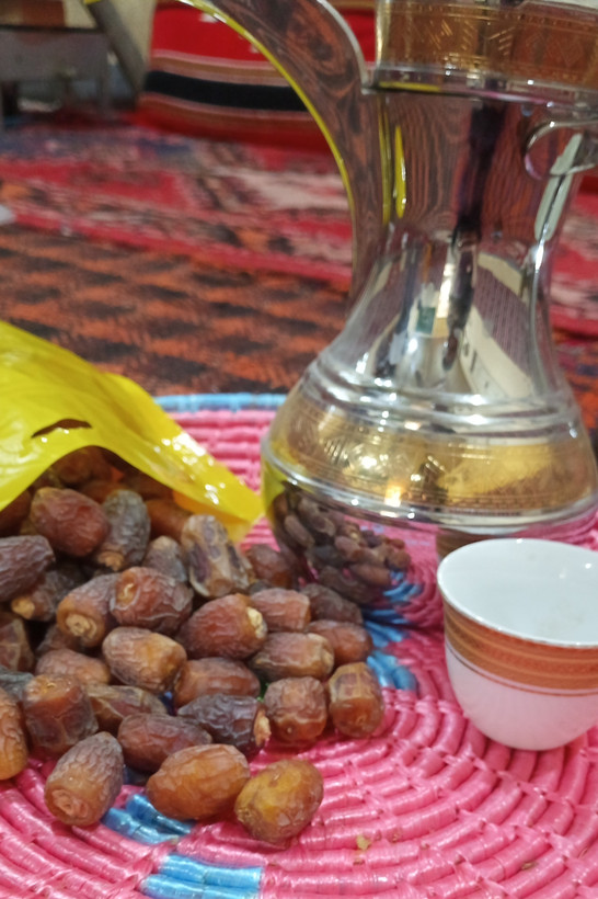 خرما بریم آدامسی گوشتی برداشت 1404