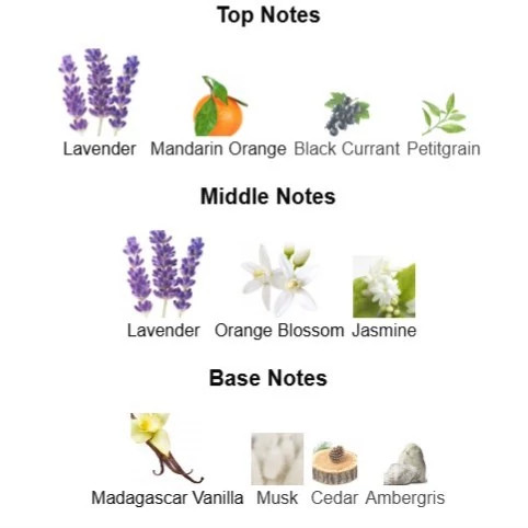 عطر گرمی زنانه لیبره گرید تاب